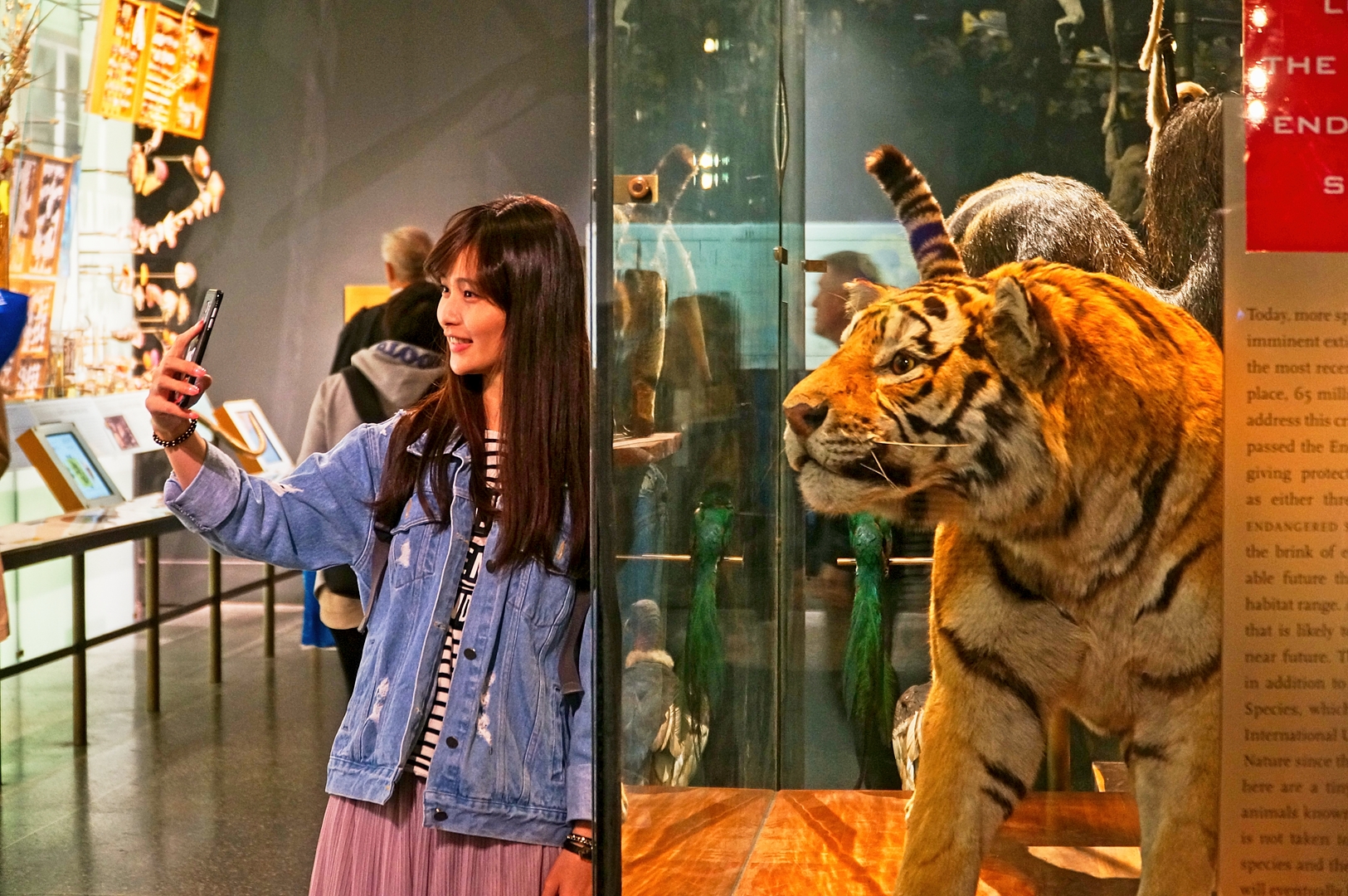 Manhattan, Amerykańskie Muzeum Historii Naturalnej.