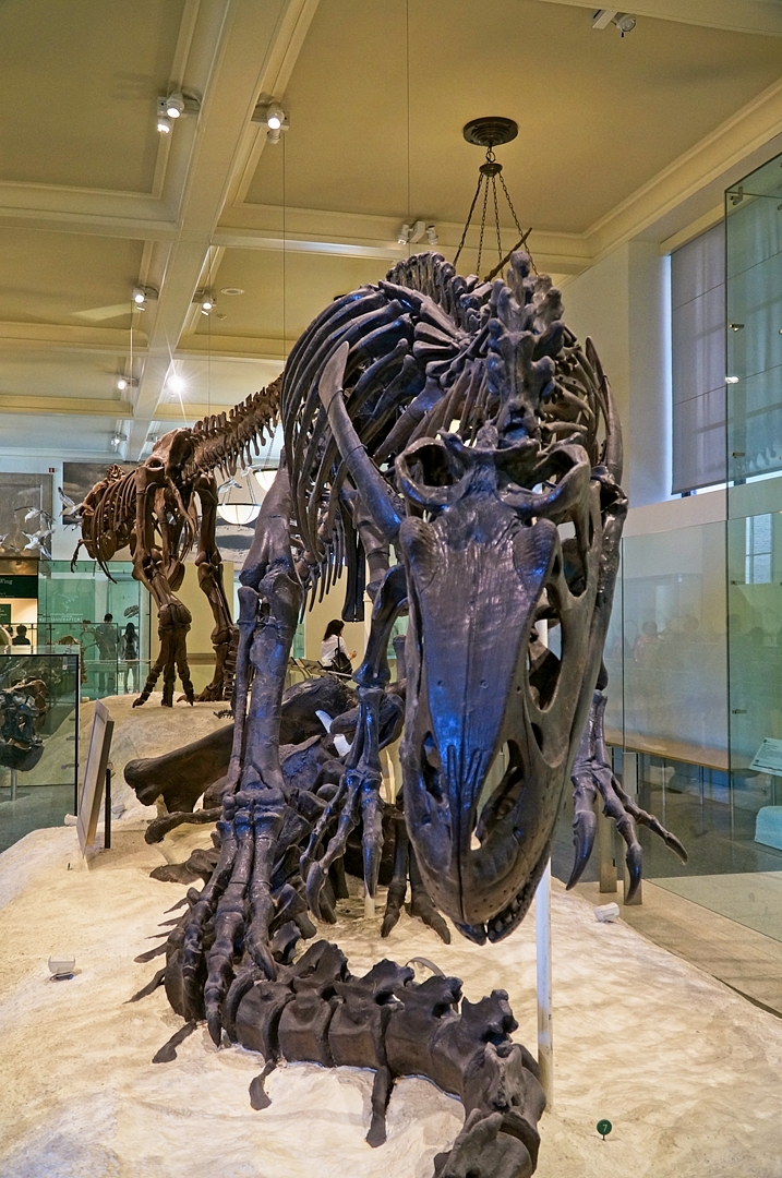 Manhattan, Amerykańskie Muzeum Historii Naturalnej.