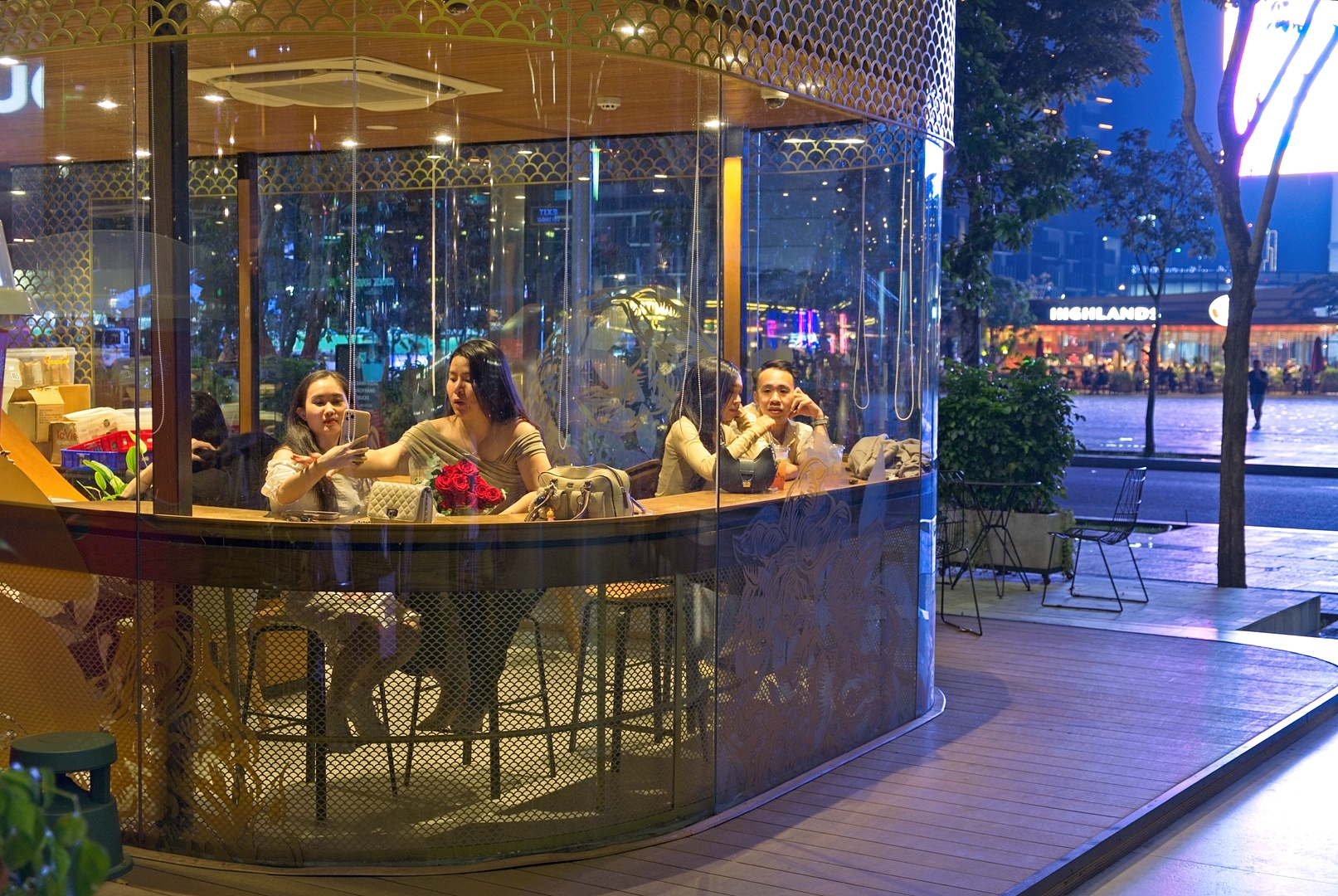 Nocne jastrzębie po wietnamsku.