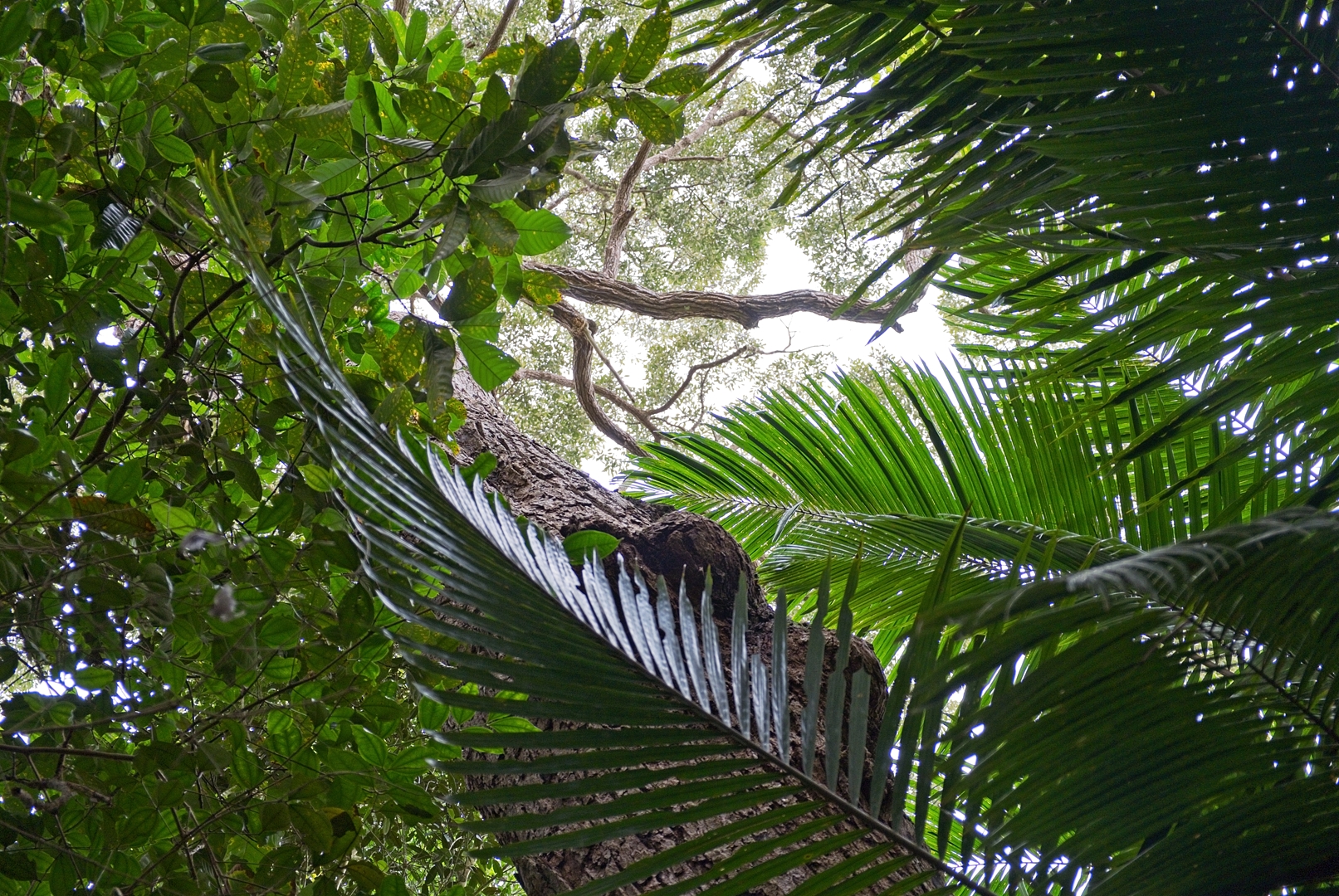 Penang National Park.
