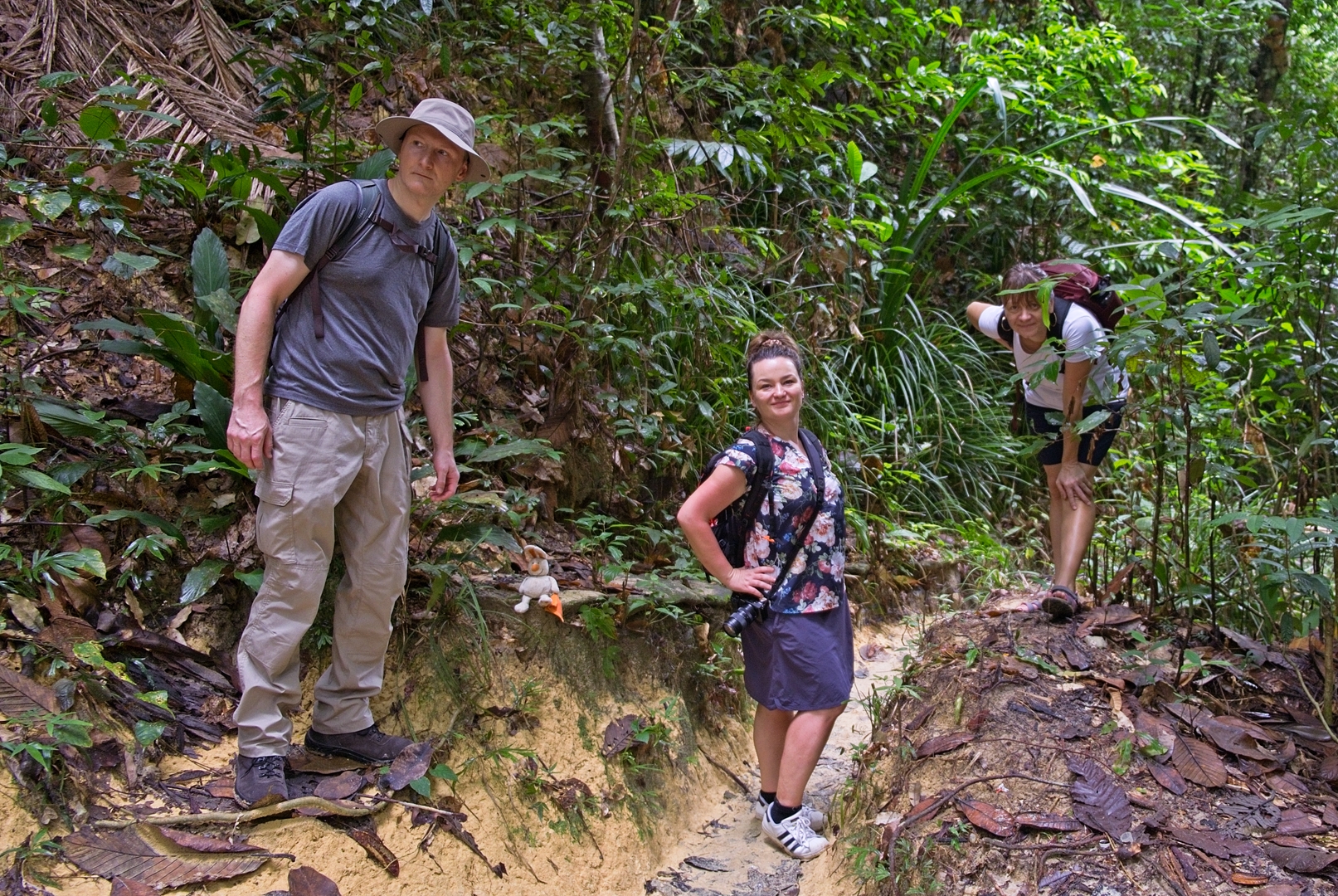 Penang National Park.