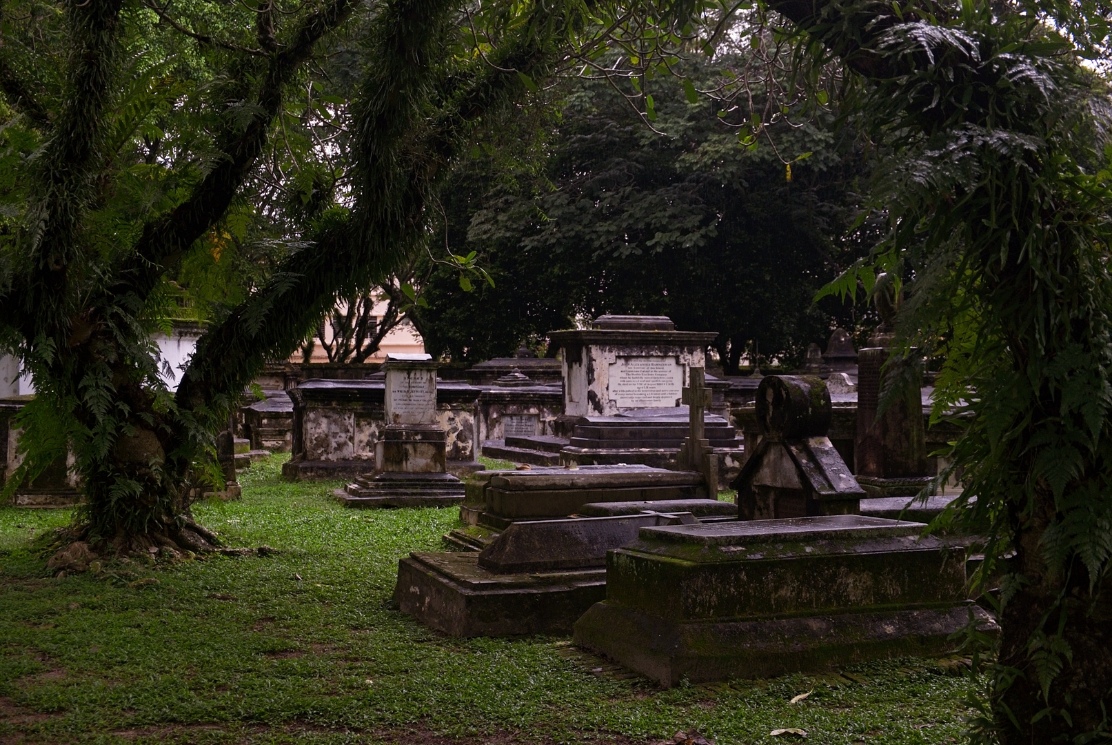 Stary Cmentarz Protestancki.