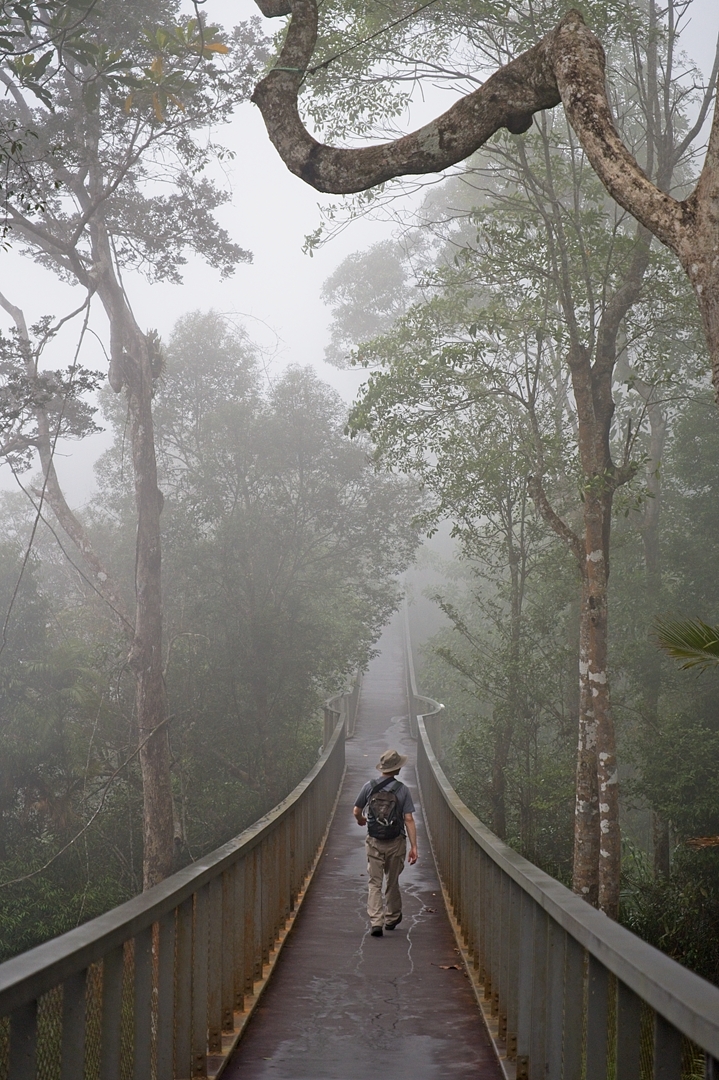 Rezerwat biosfery The Habitat.
