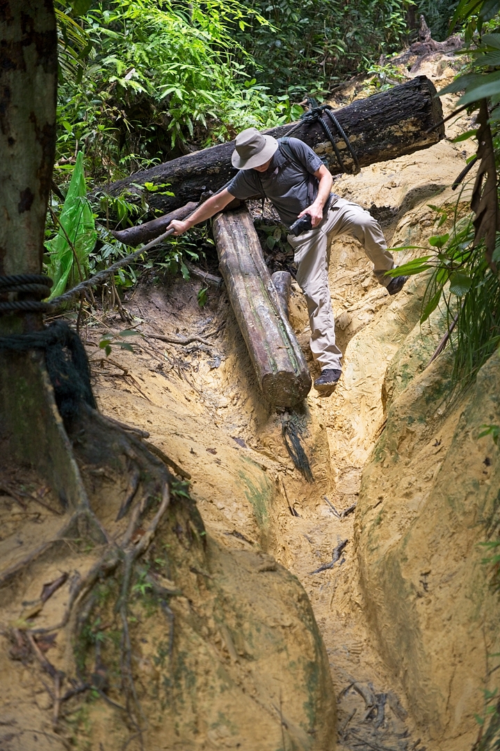Penang National Park.