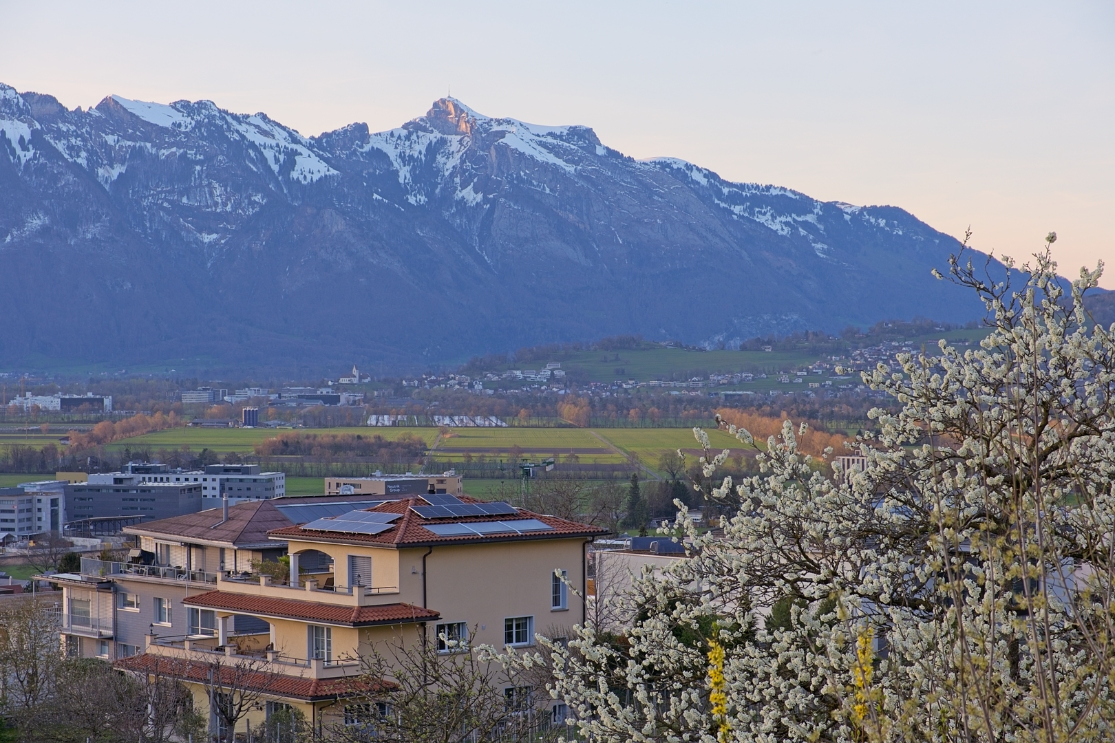 Schaan.
