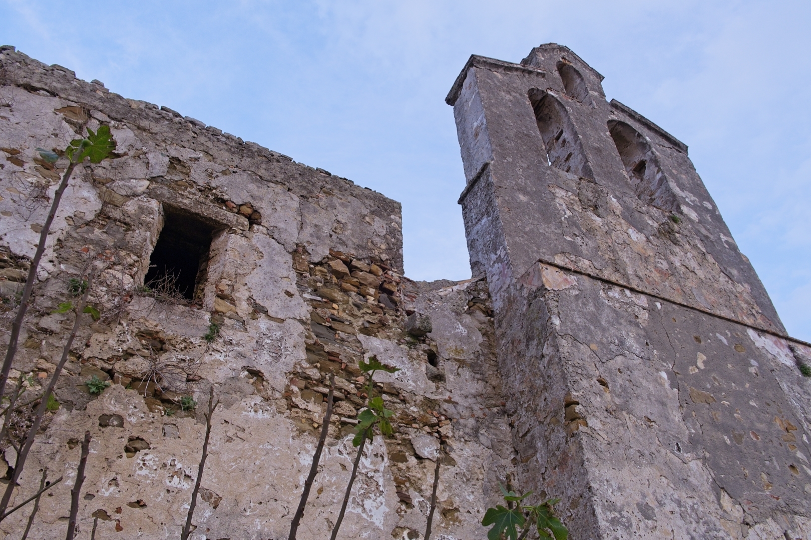 Tarifa.
