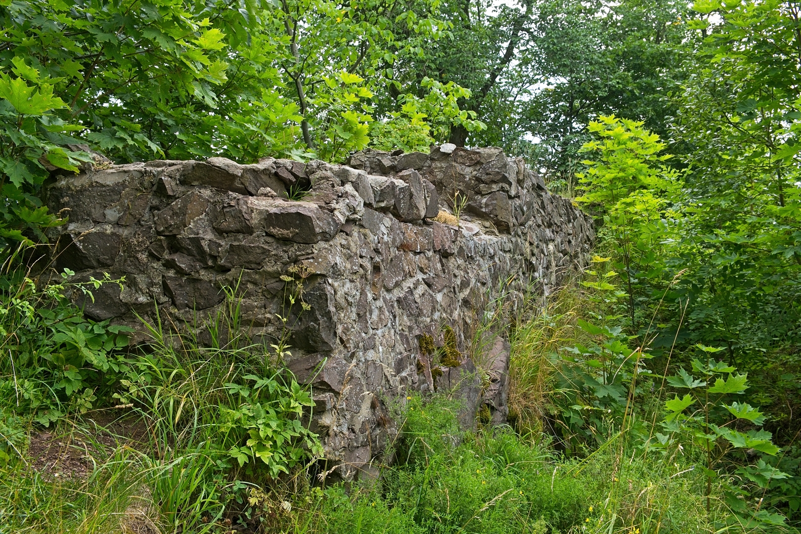 Zamek Rogowiec.
