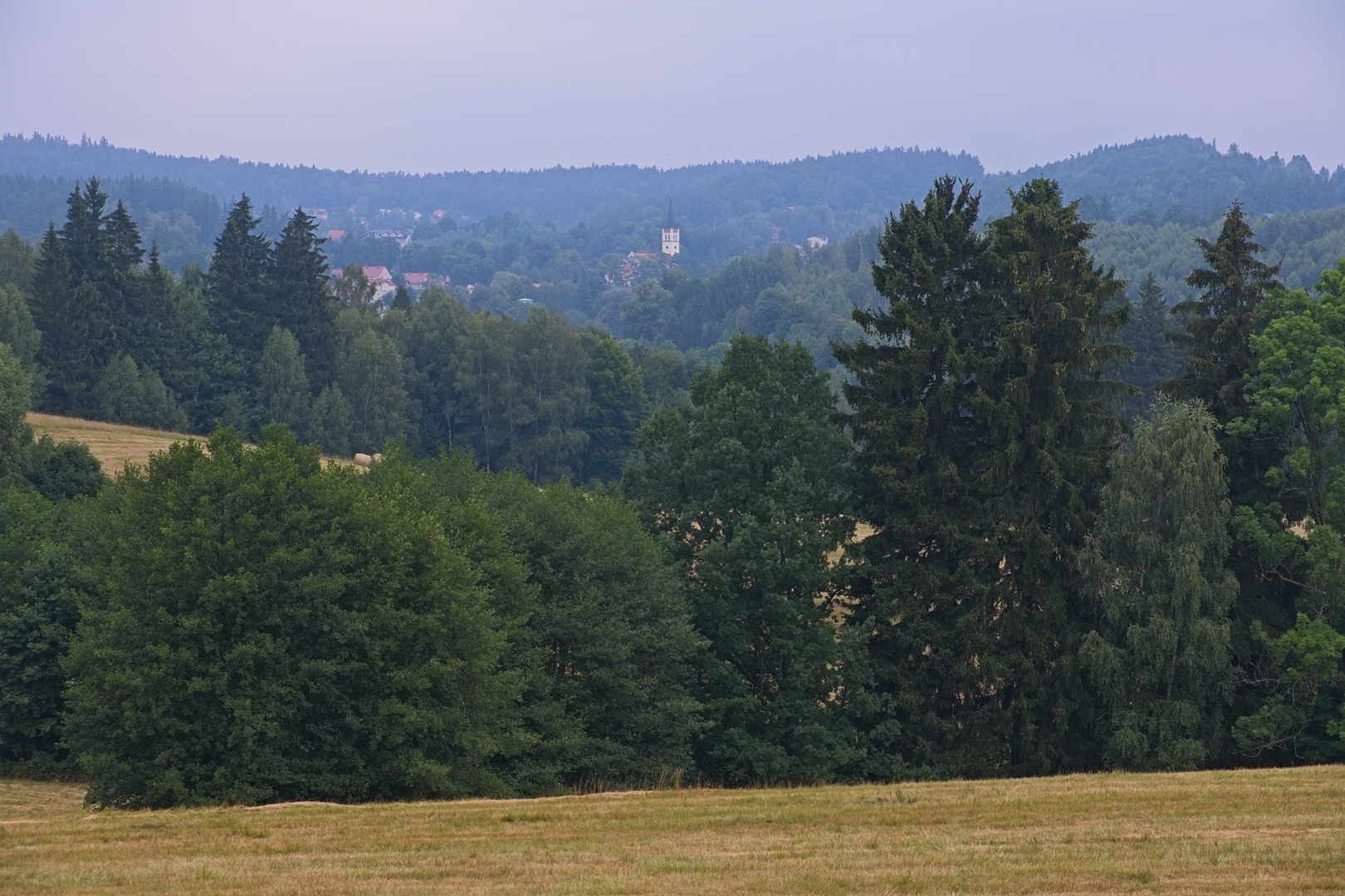Jedlina-Zdrój.