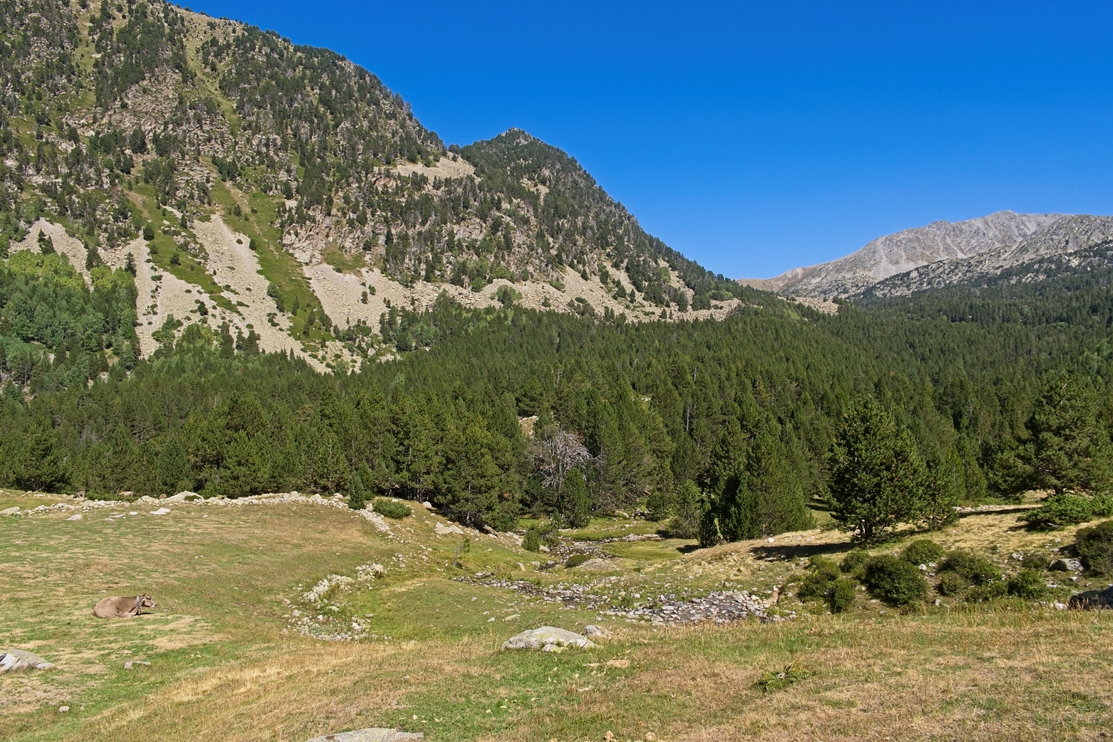 Pireneje.