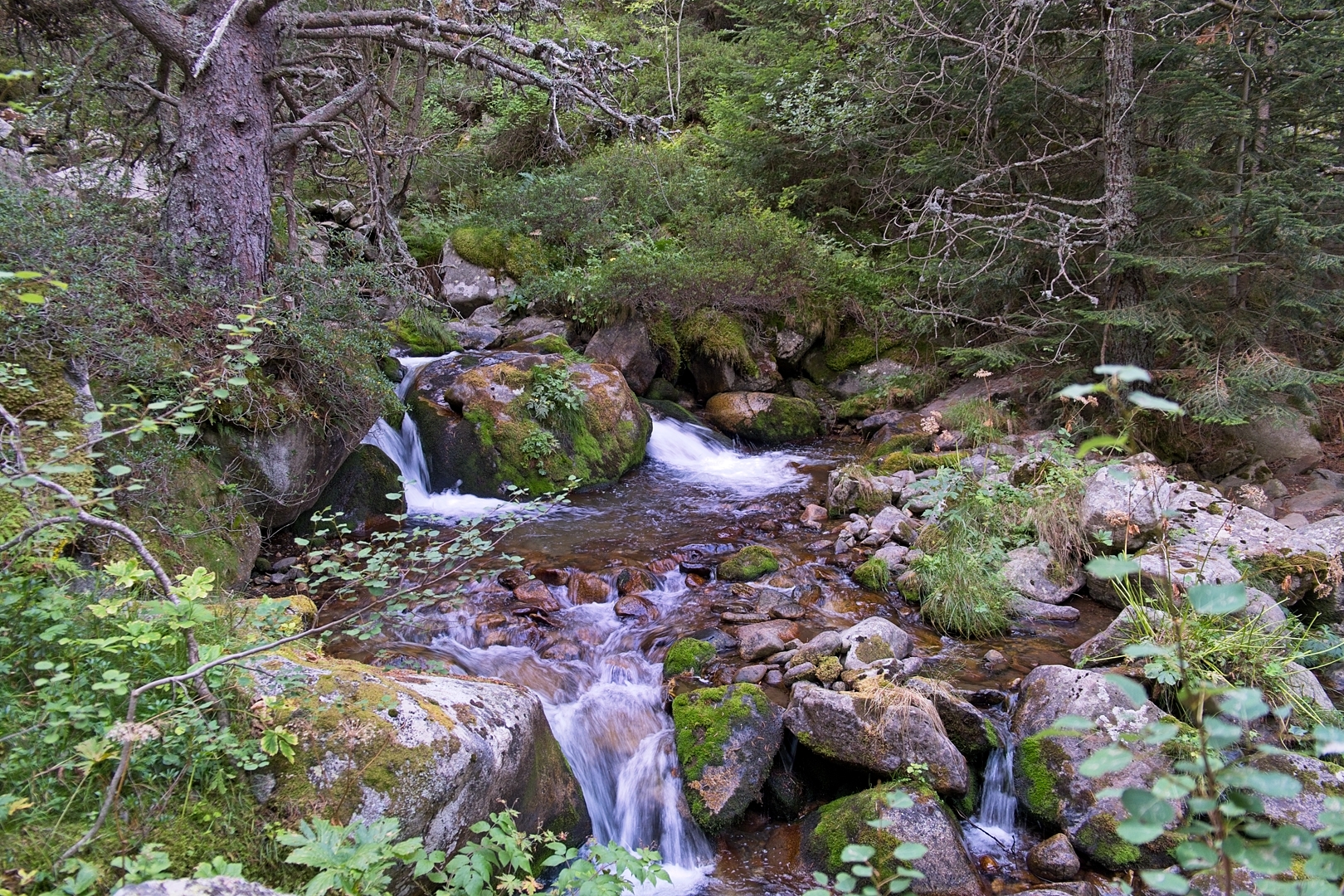 Andora.